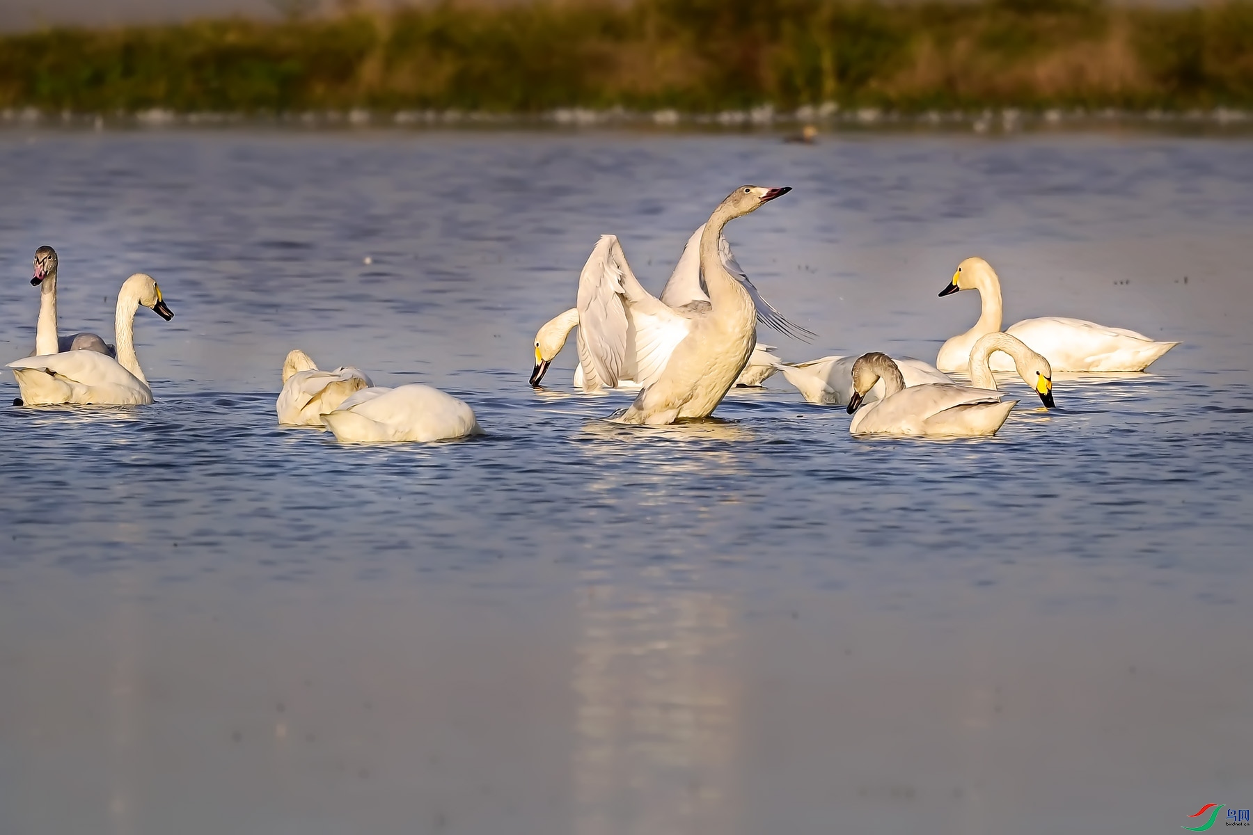 DSC_5851.jpg
