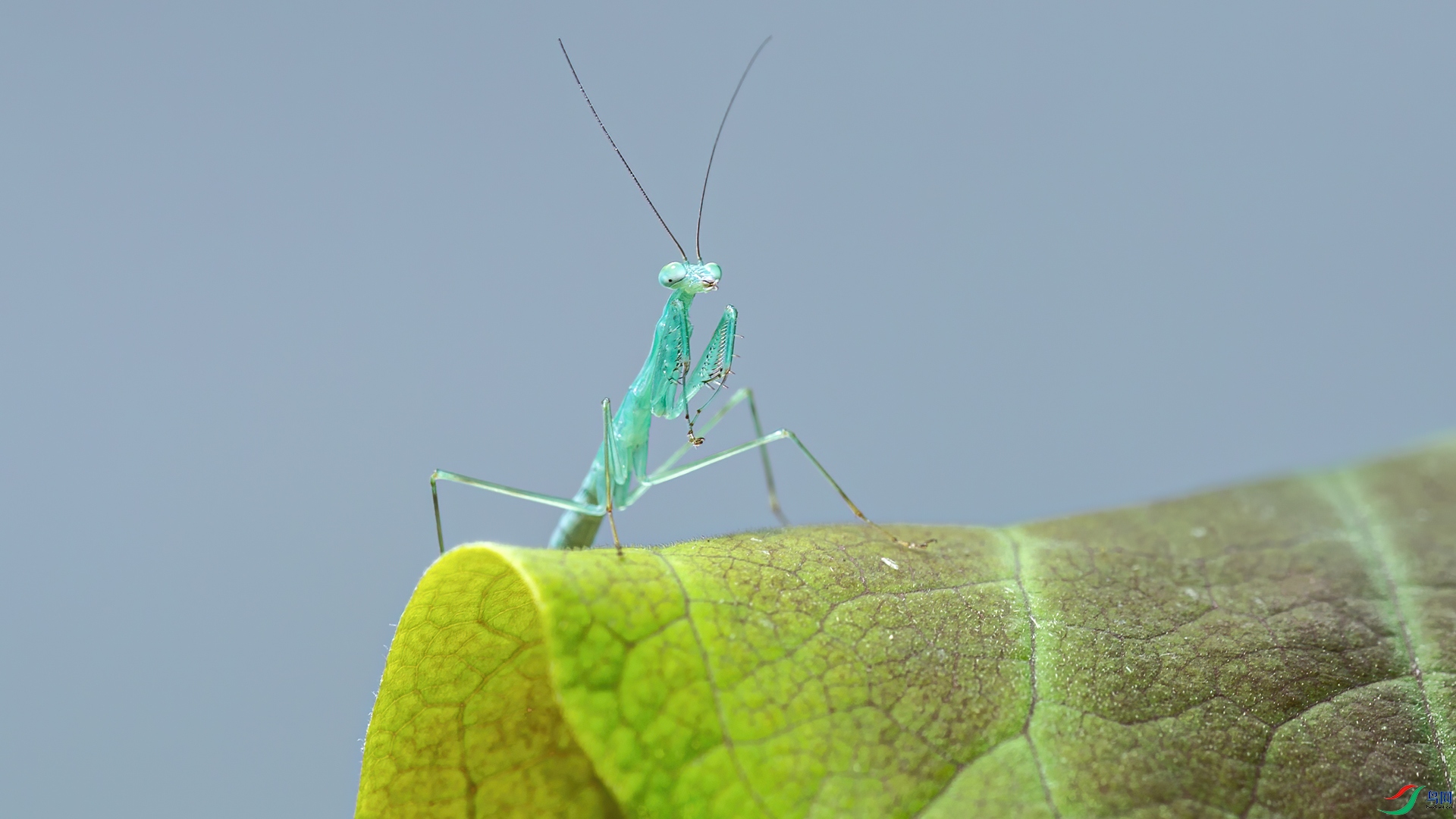 2S6A3435.jpg