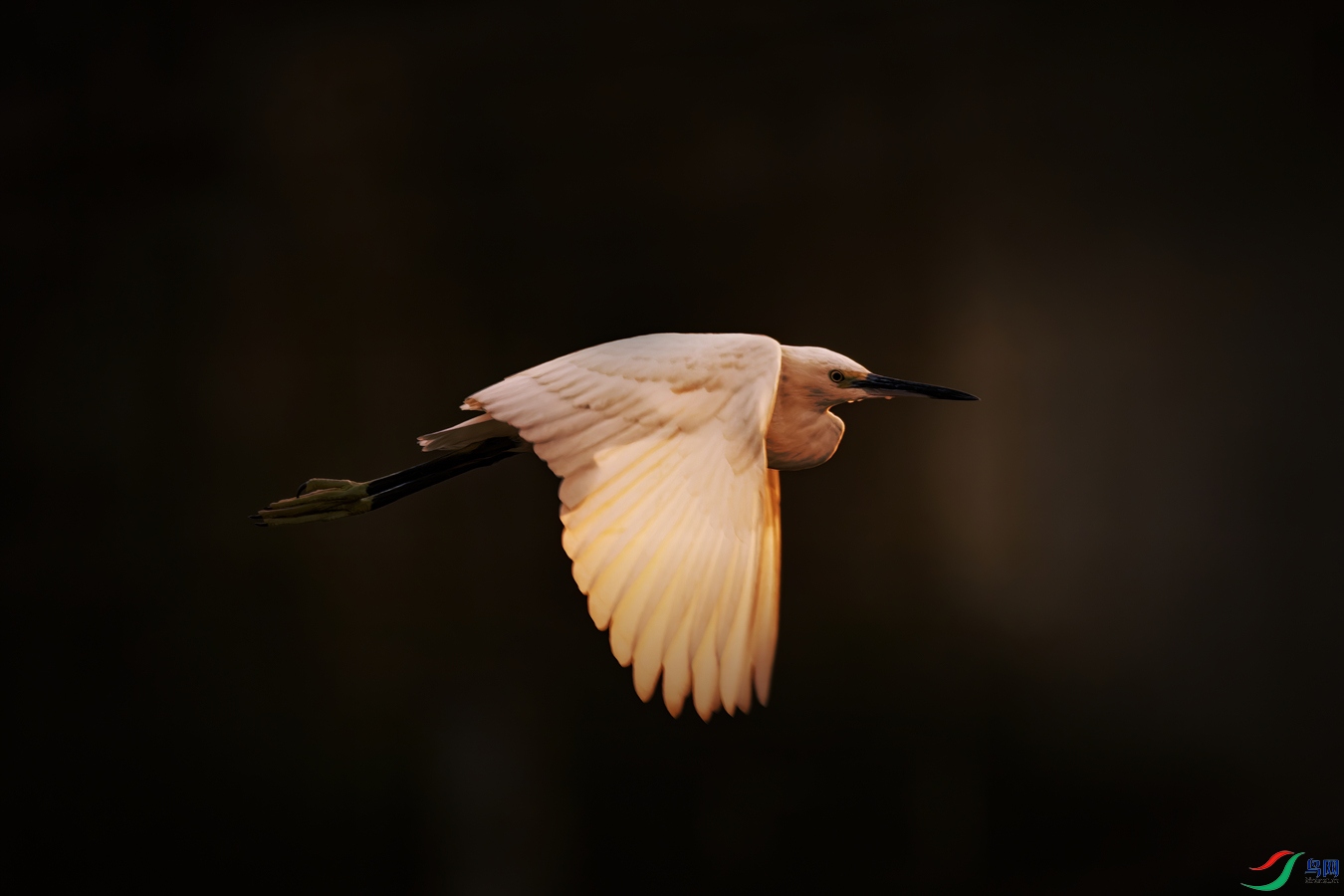 DSC_5602_resize.jpg
