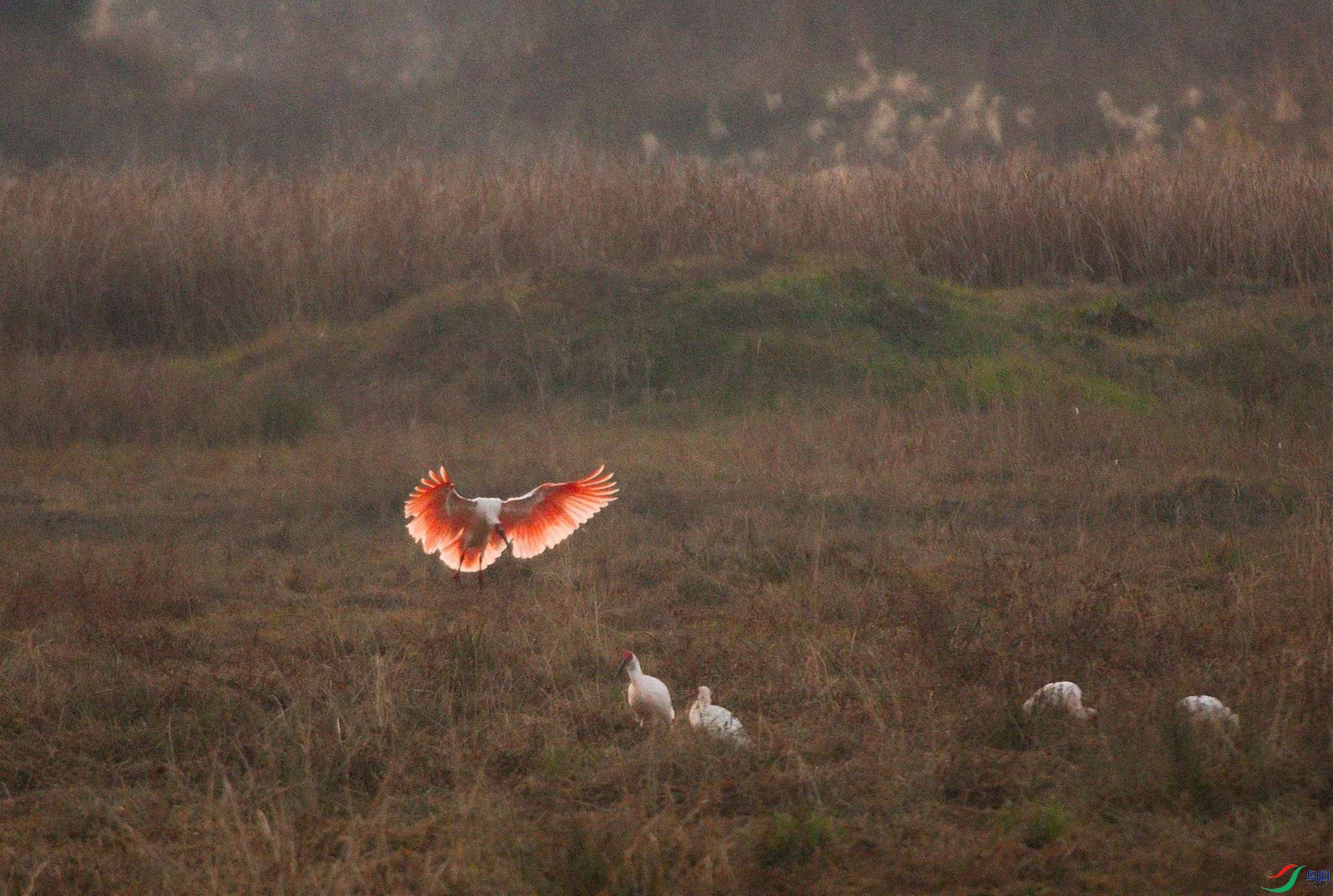 DSC_4570-Exposure (1).jpg