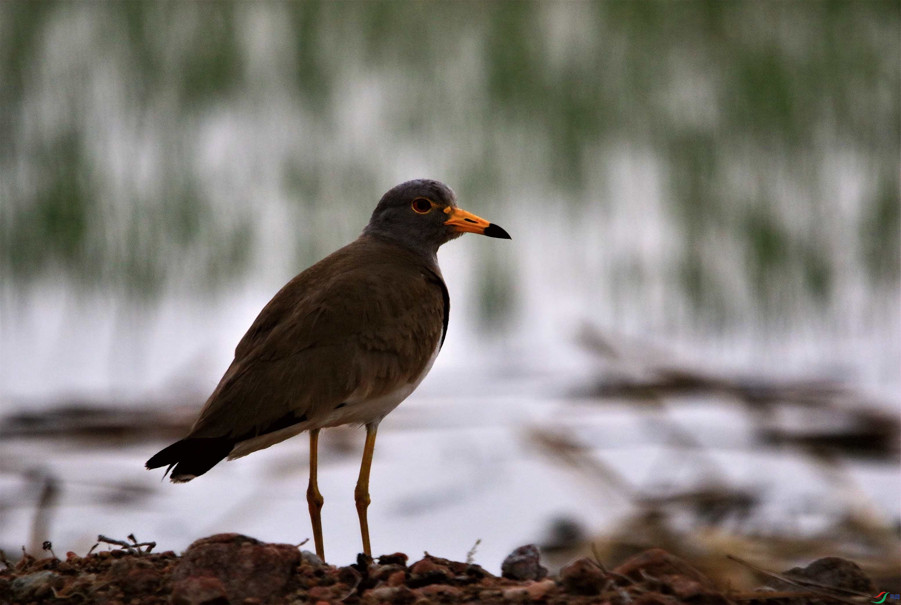 ��ͷ�� (13).JPG