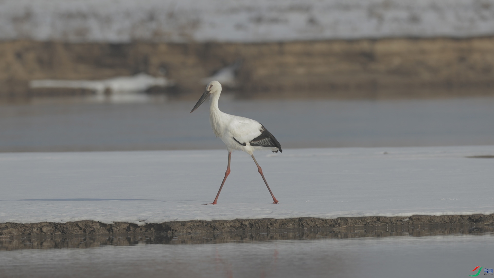 δ����_1.3.1 ����.jpg