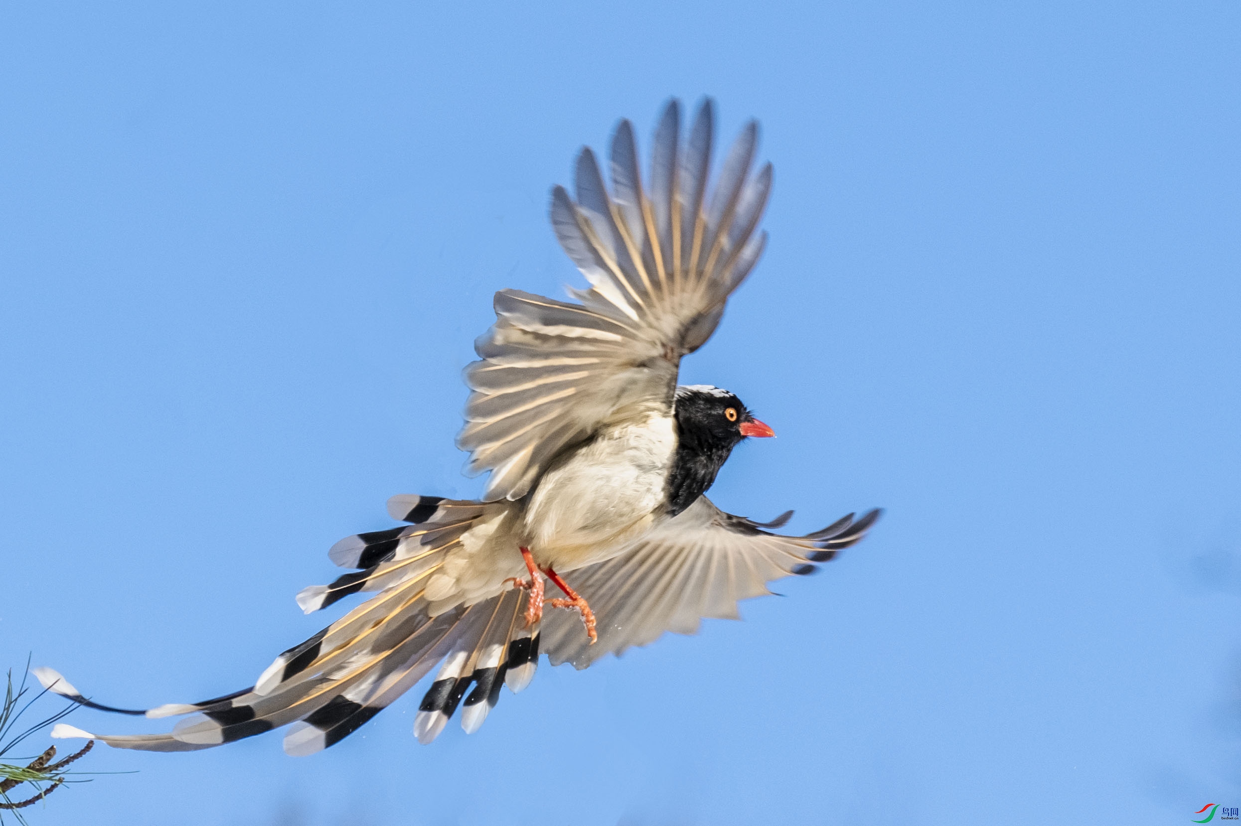 ���ɷ���4