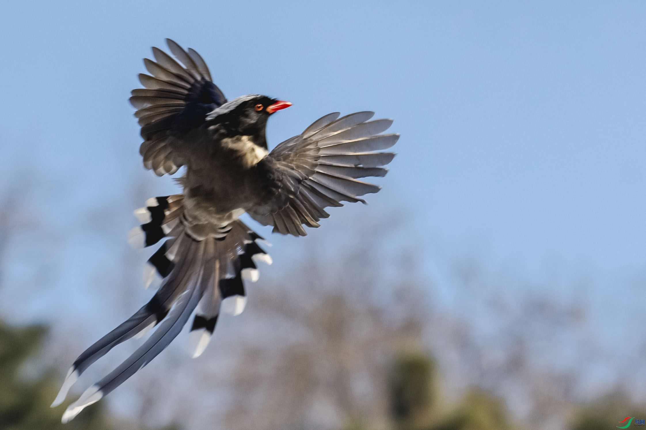 ���ɷ���3