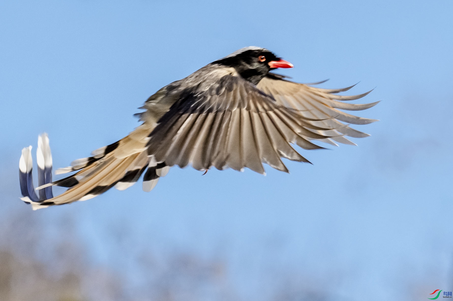 ���ɷ���1