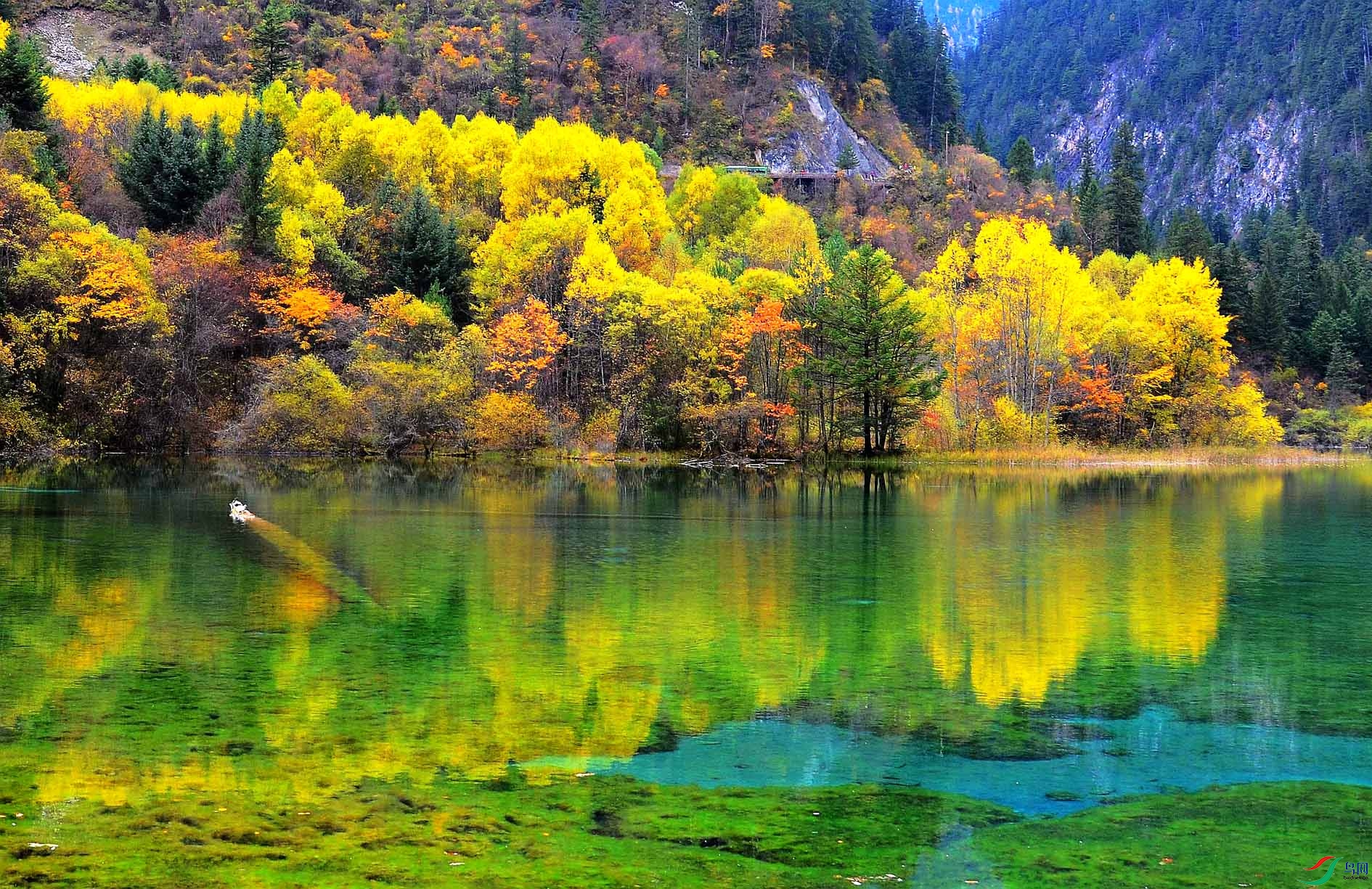 ��կ�� 271.jpg