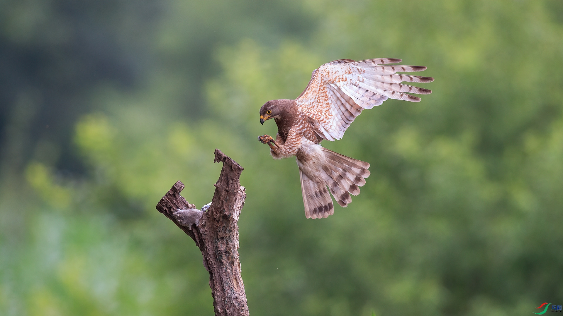 1DX_6546 ����.jpg