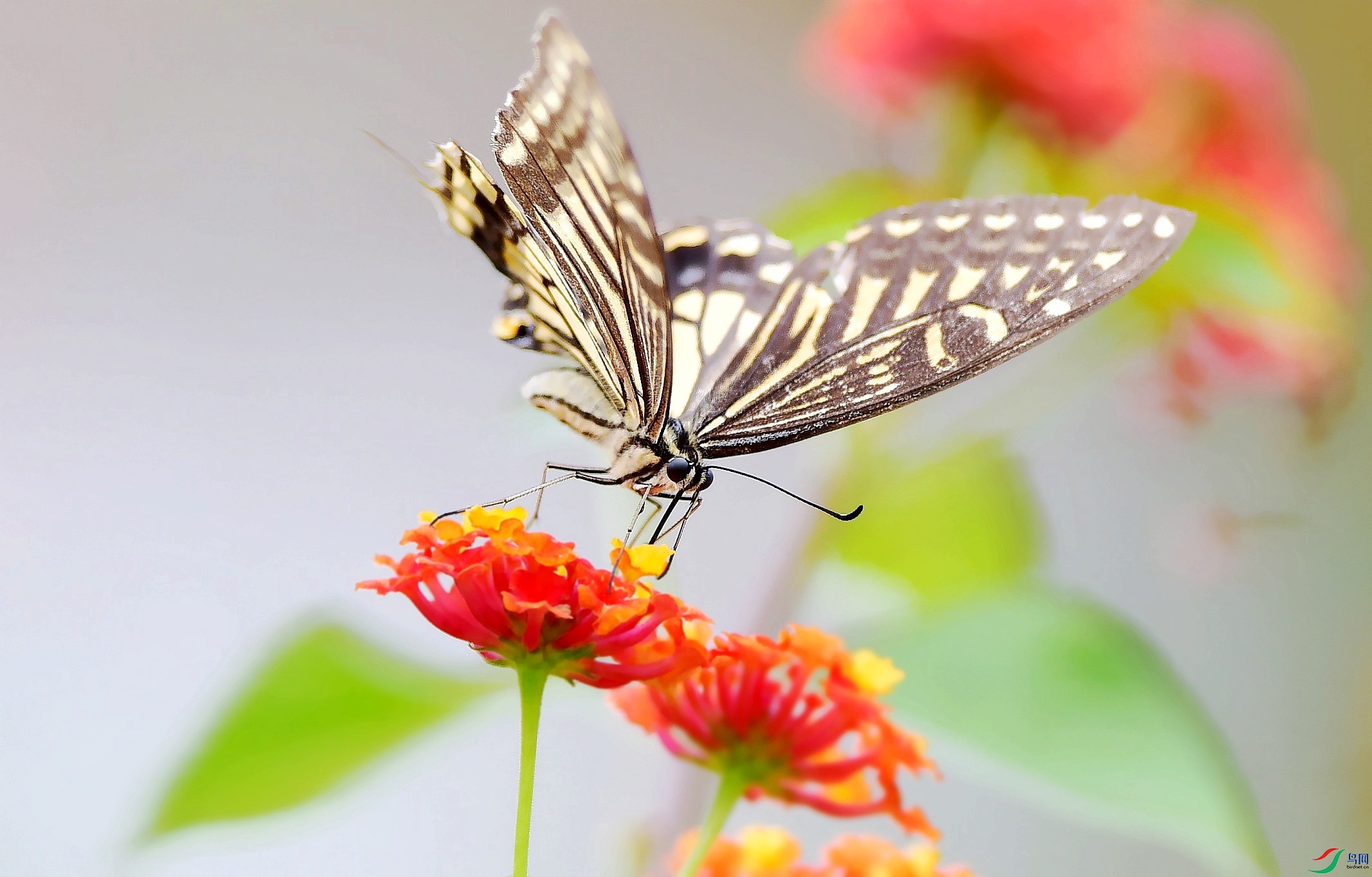 DSC_7684_conew2.jpg