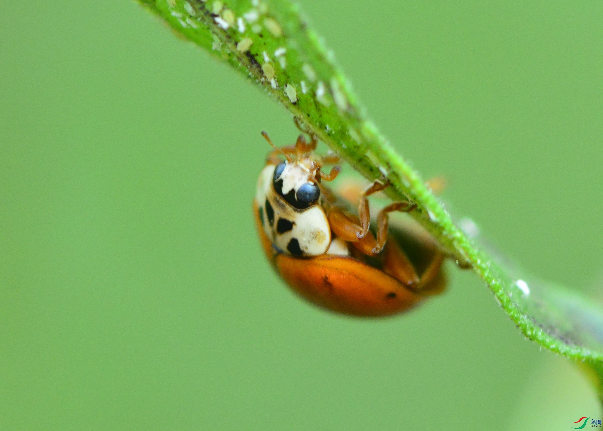 ������Ӱ 4589����.jpg