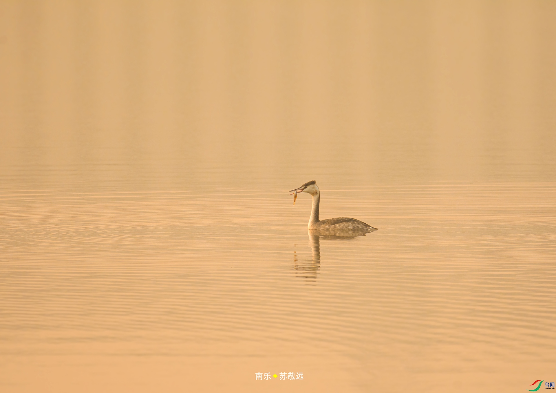 _DSC1122С.jpg