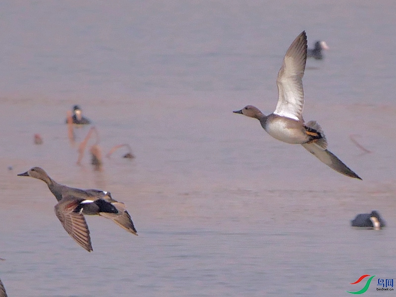 P7680097 - ����.JPG