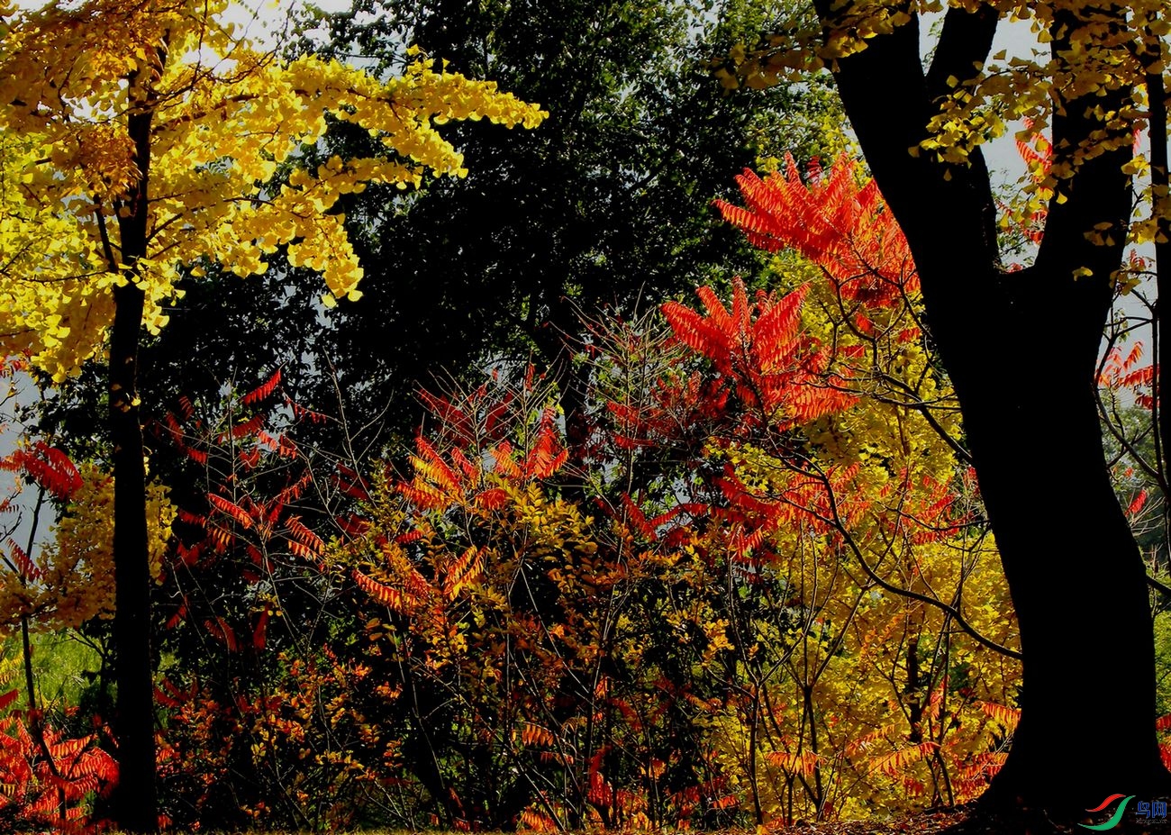 DSCN9161.jpg
