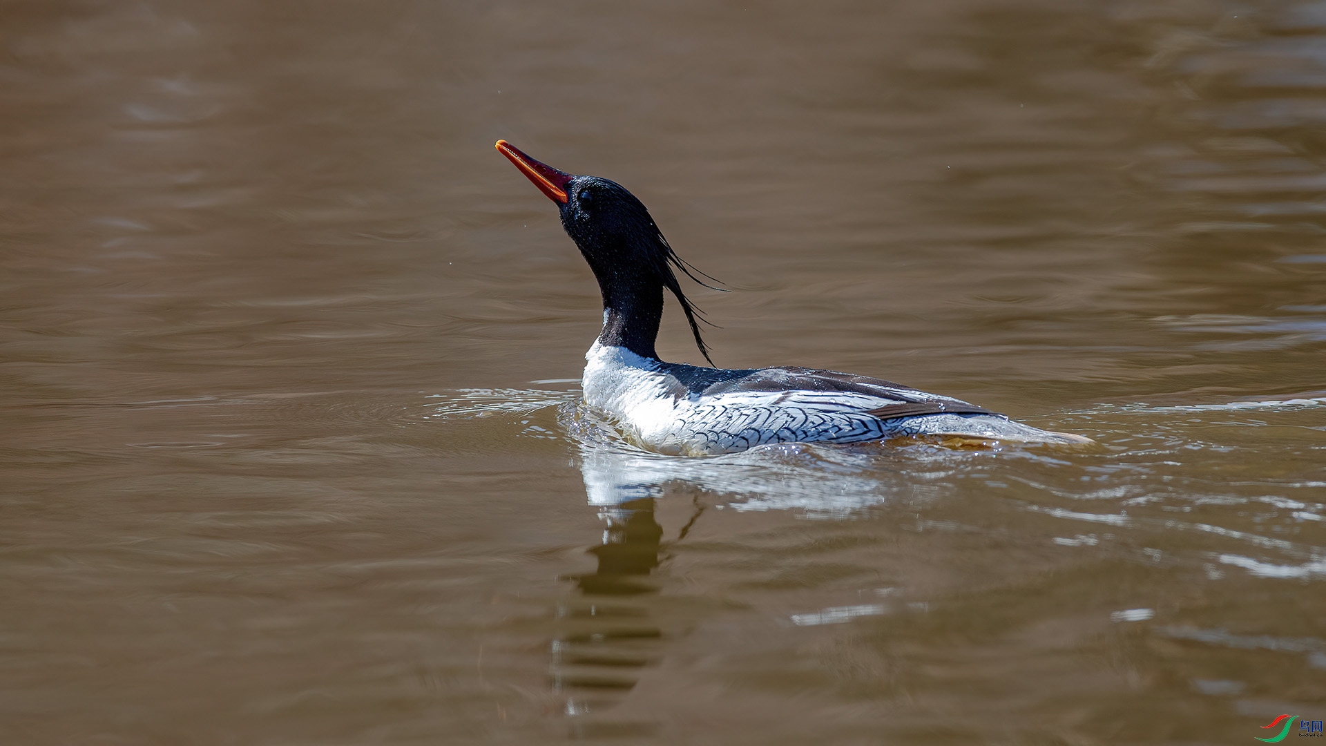 1DX_4258 ����.jpg