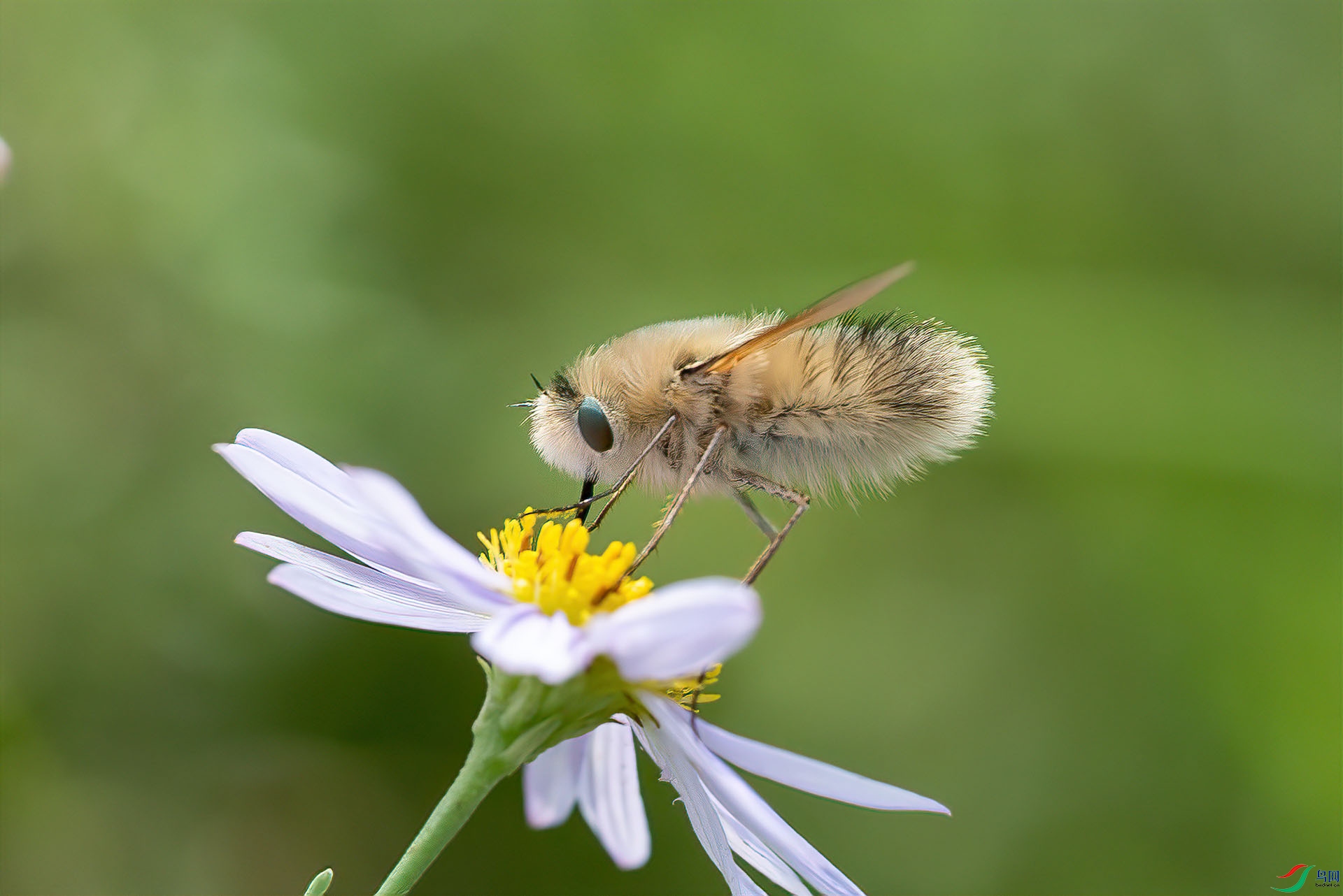 5D3_7260 ����.jpg