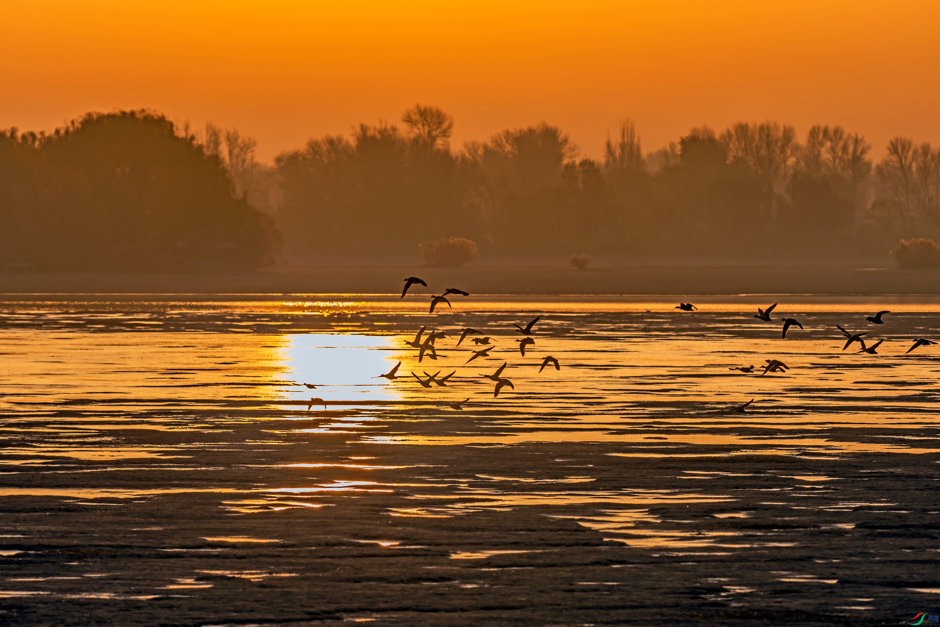 DSC_4185_��ͼ��.jpg