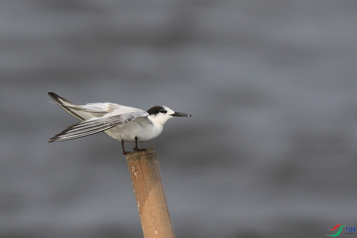 ��Ÿ 0F4A2644.jpg