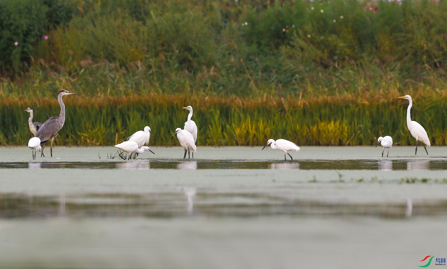 ����֮��  ���  �ֻ�13500652260.jpg