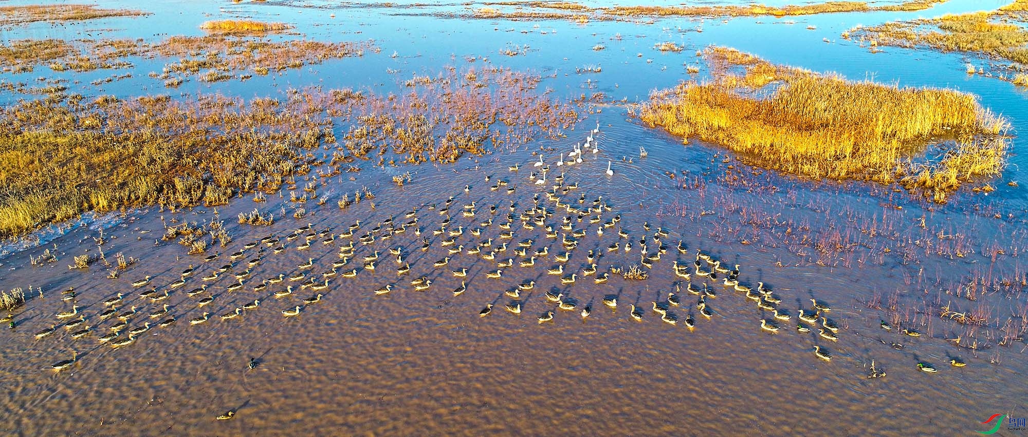 DJI_0042_1.jpg