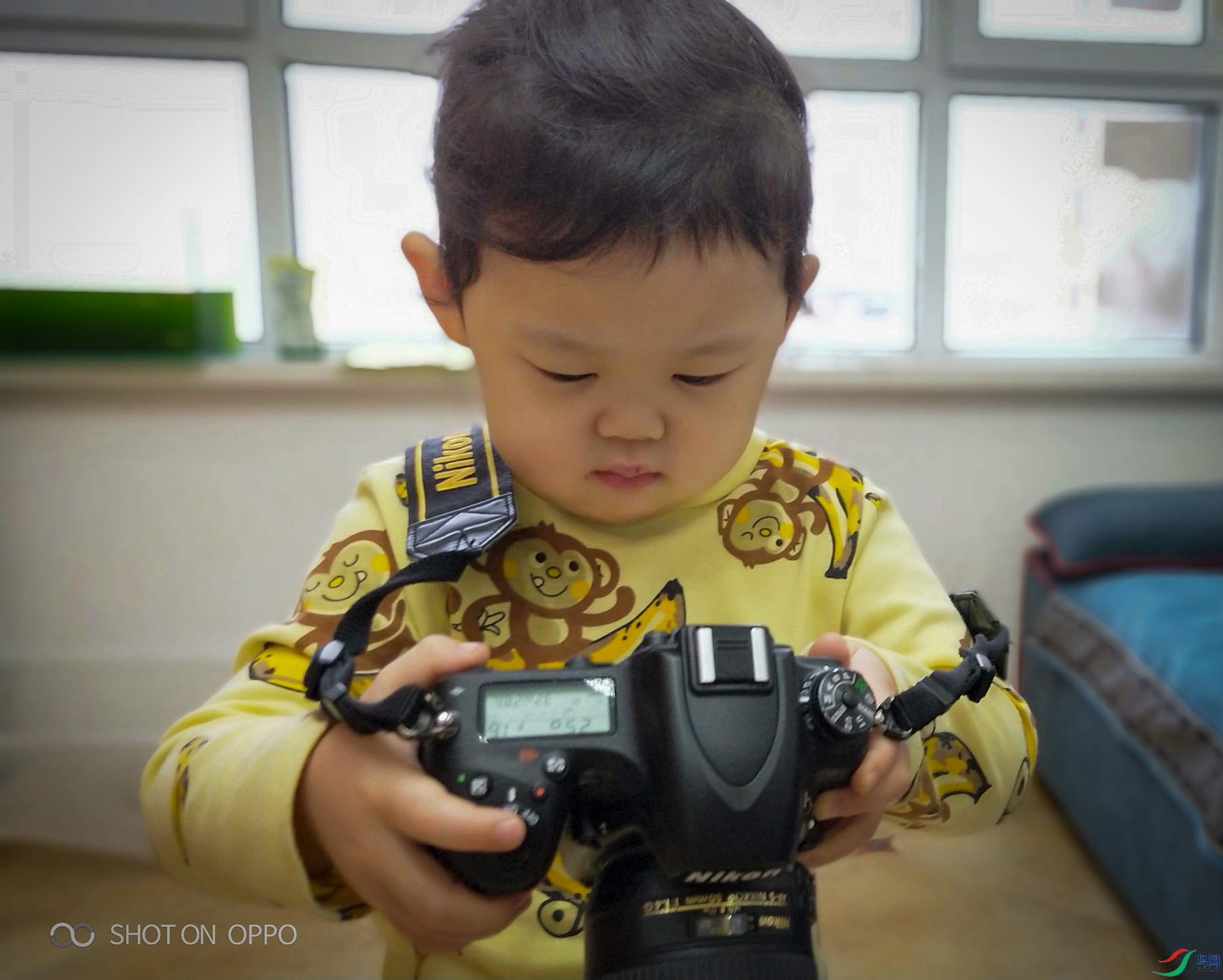 IMG20191130080639 ����_����.jpg