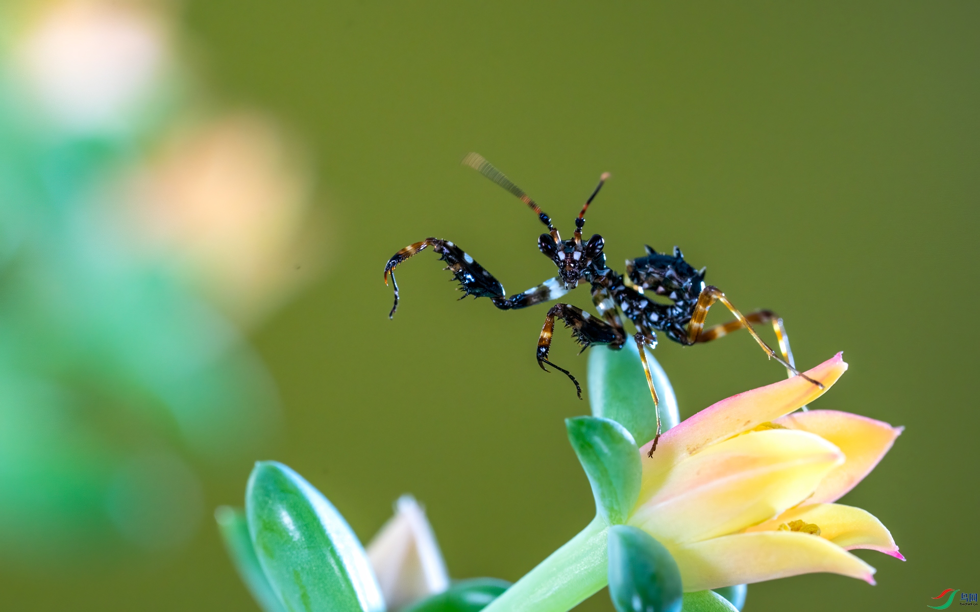 DSC05310.-0jpg.jpg