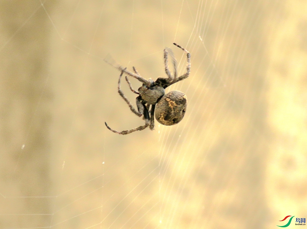 367A2625_����.jpg