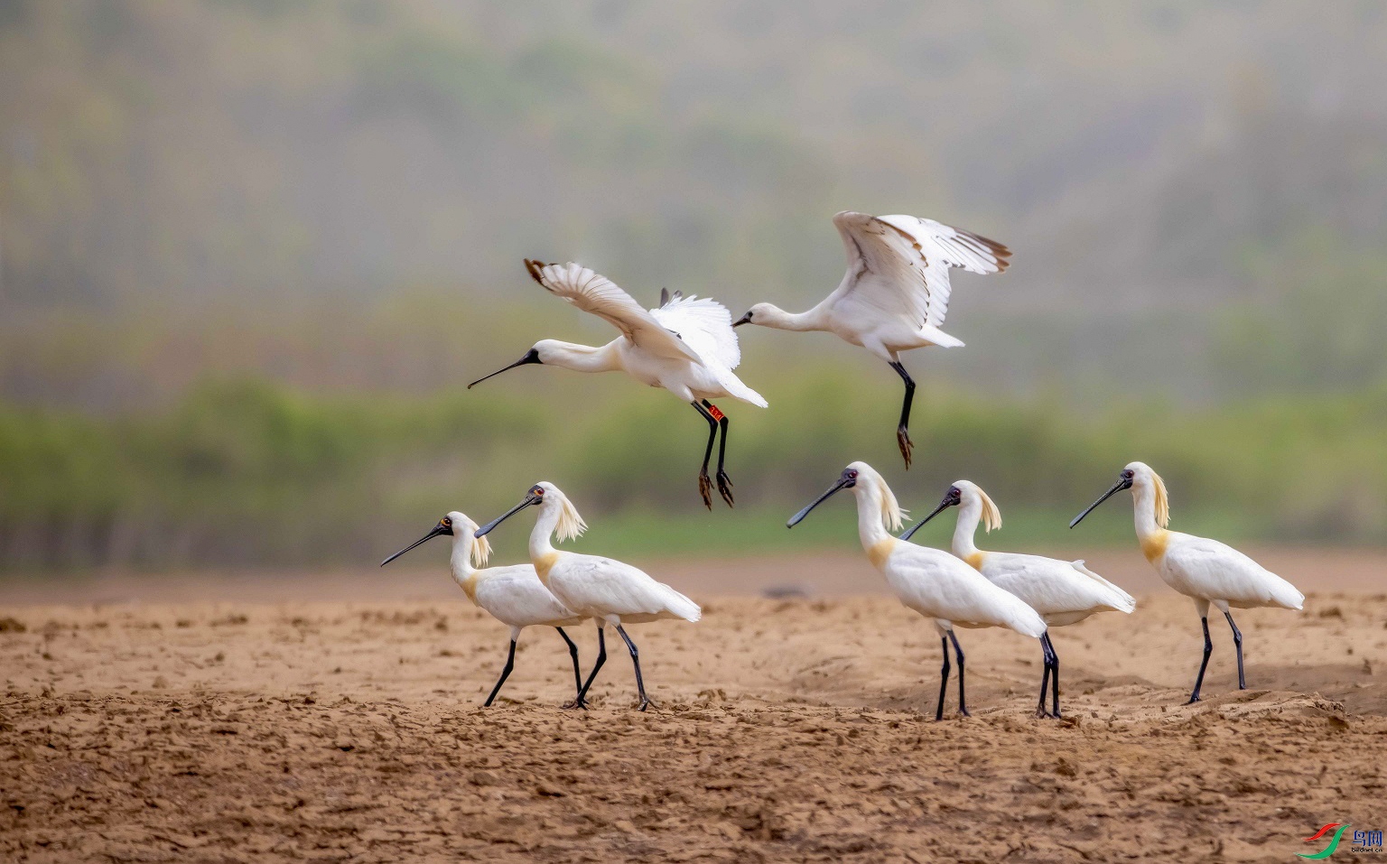 ��������