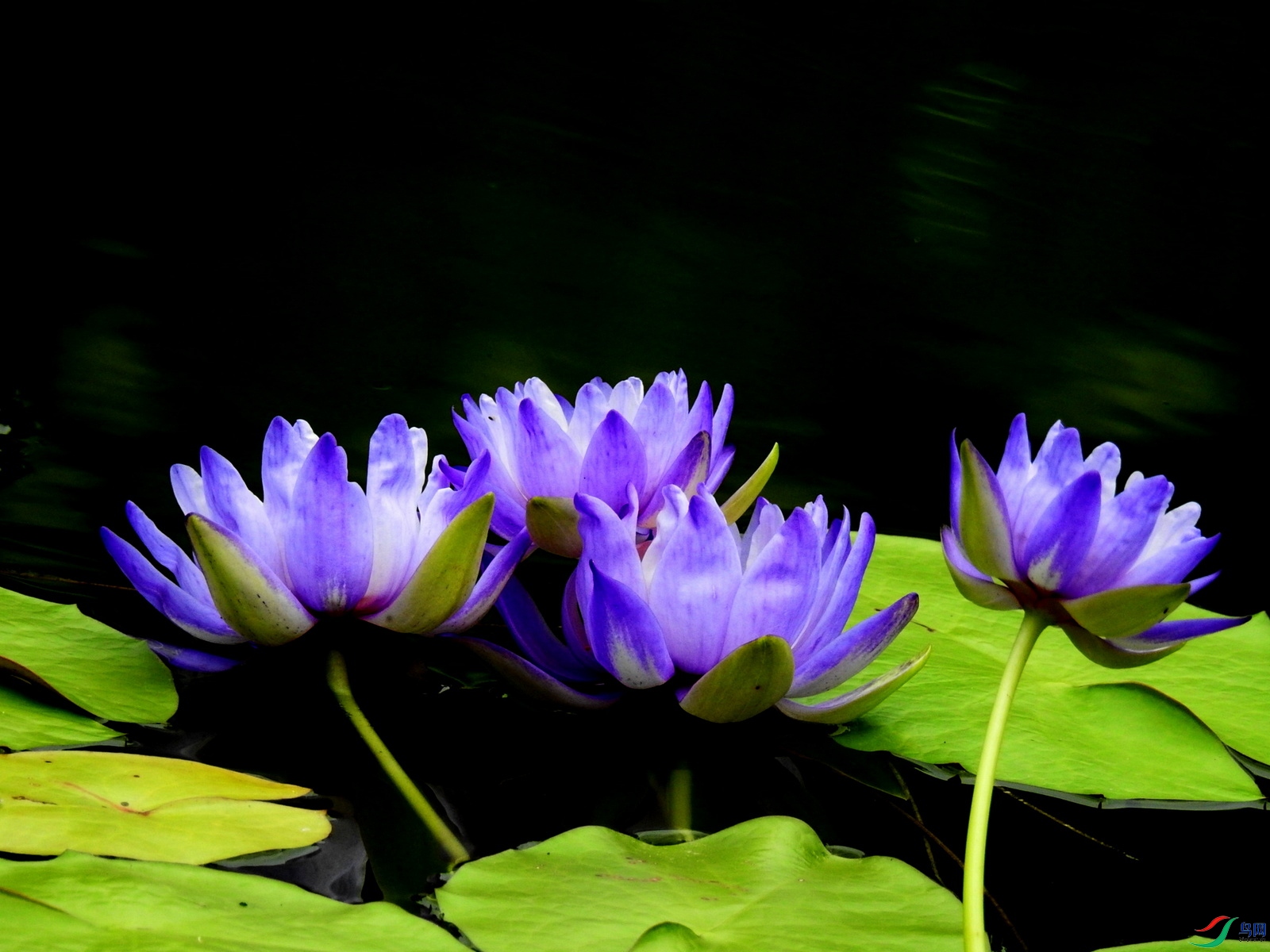 DSCN5048.JPG