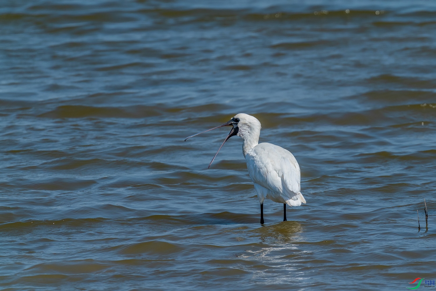 A9D02425-155.jpg
