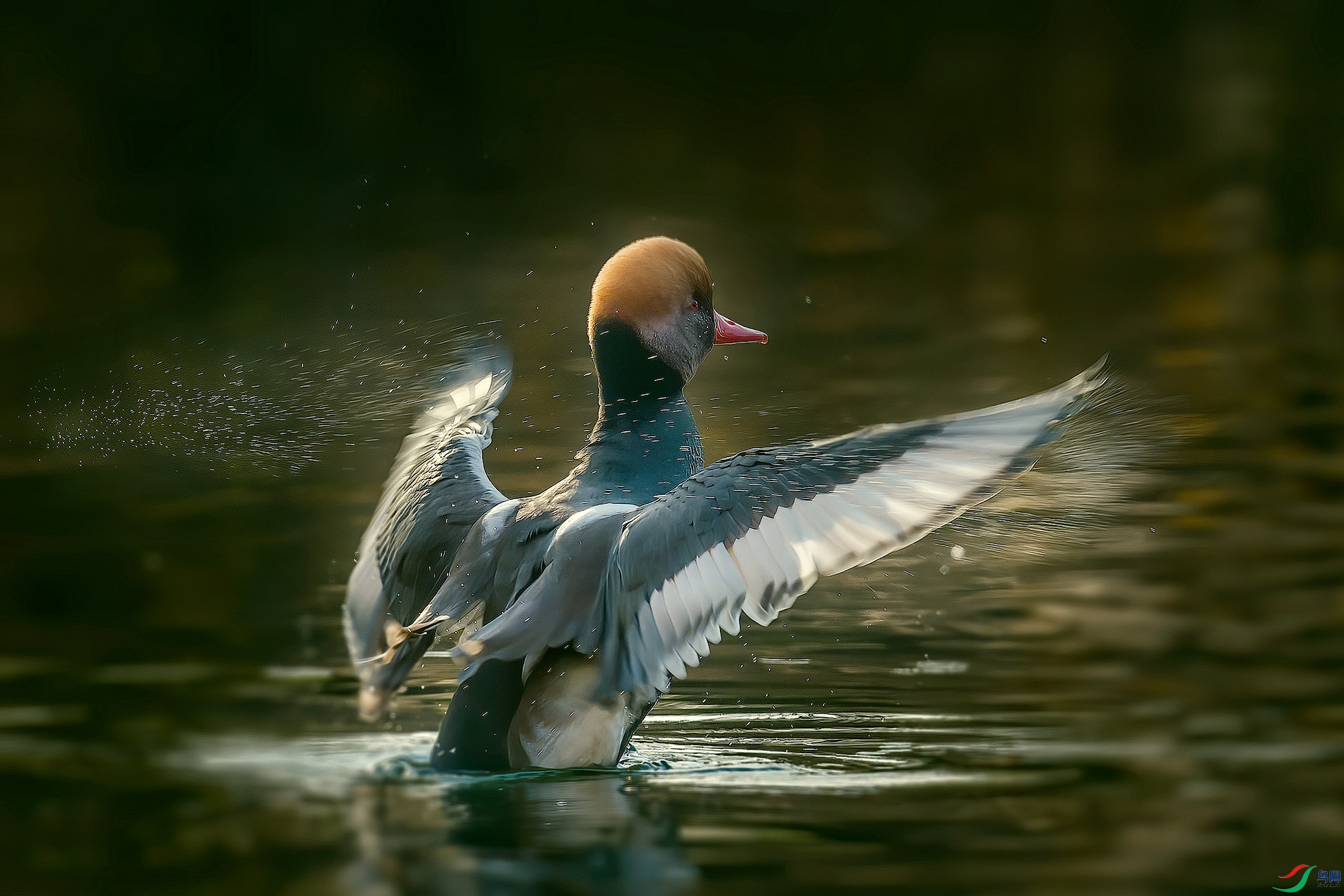 _DSC6191a ����.jpg