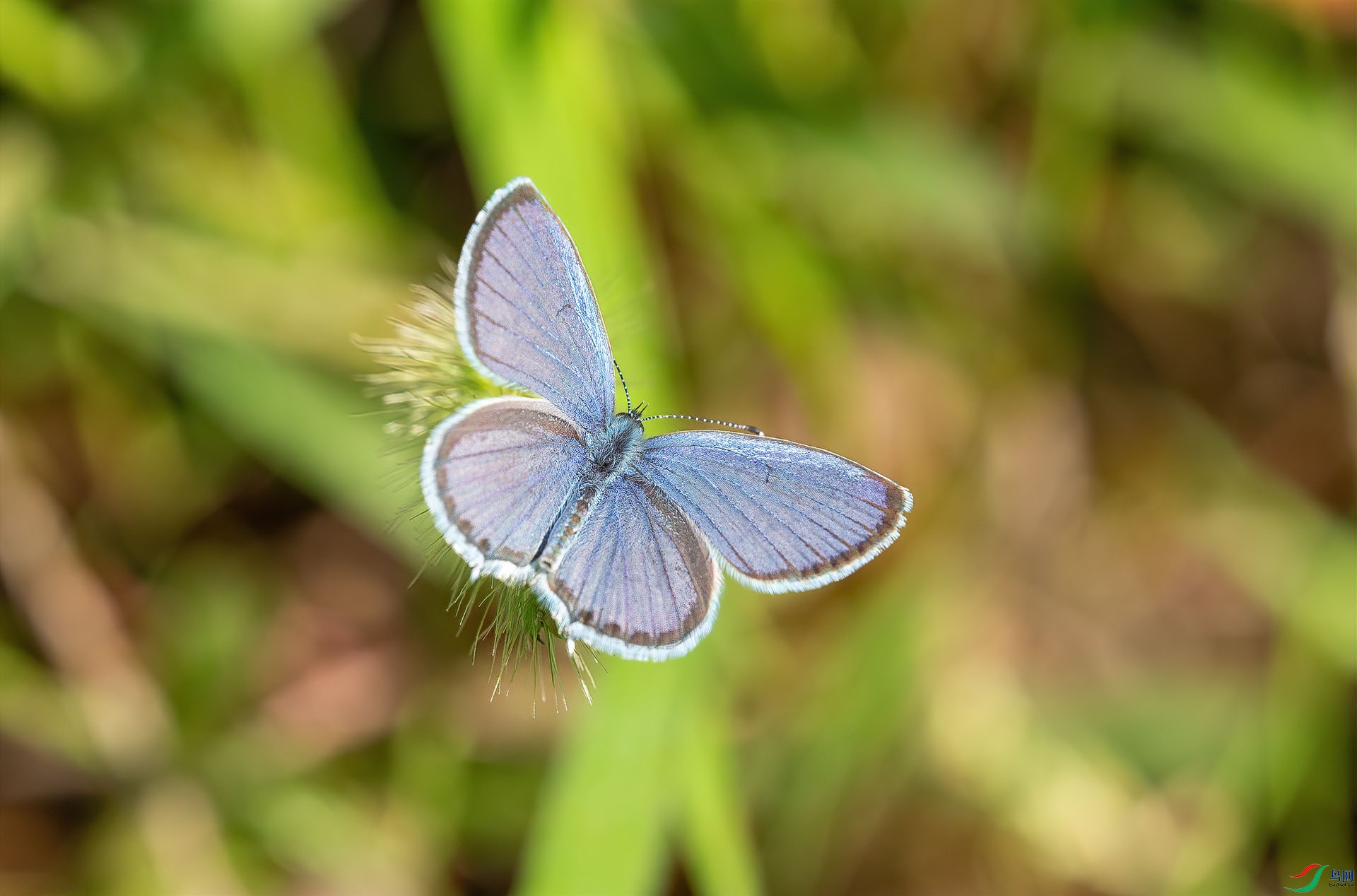 5D3_7460 ����.jpg