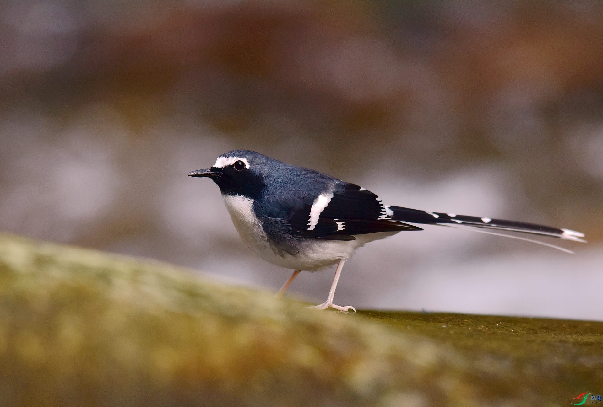 D8I_3565.jpg