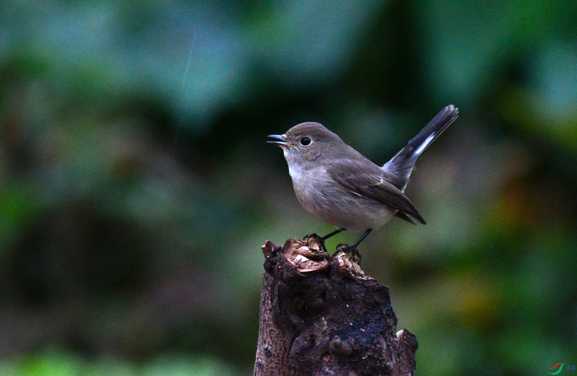 DSC_6024.JPG