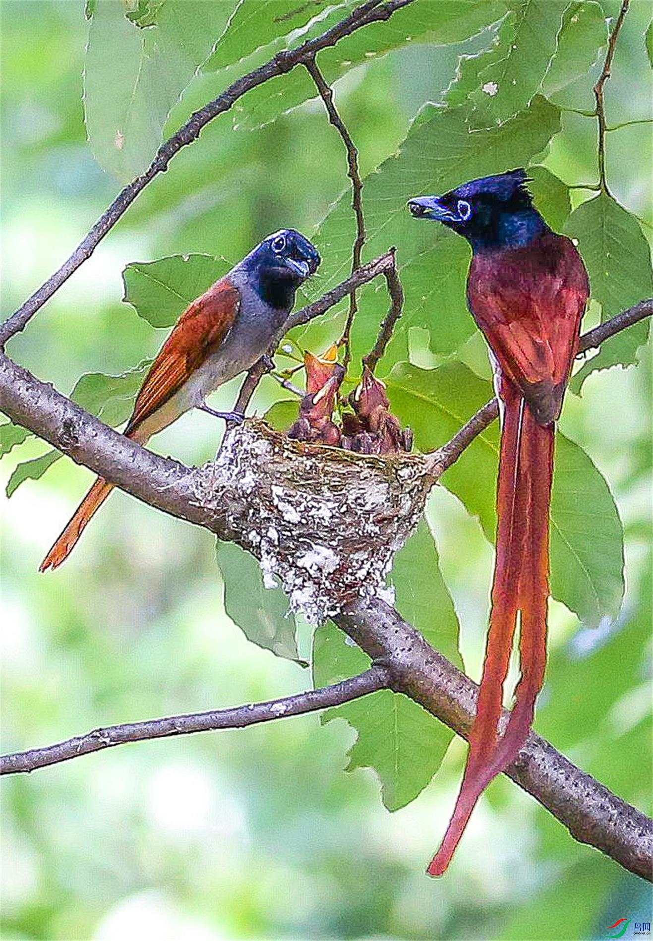 ��Ƭ 533_����(1).jpg