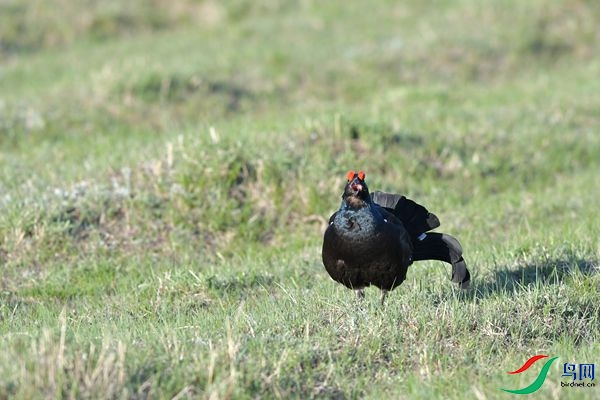 DSC_2524.jpg