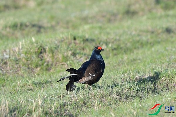 DSC_2508.jpg