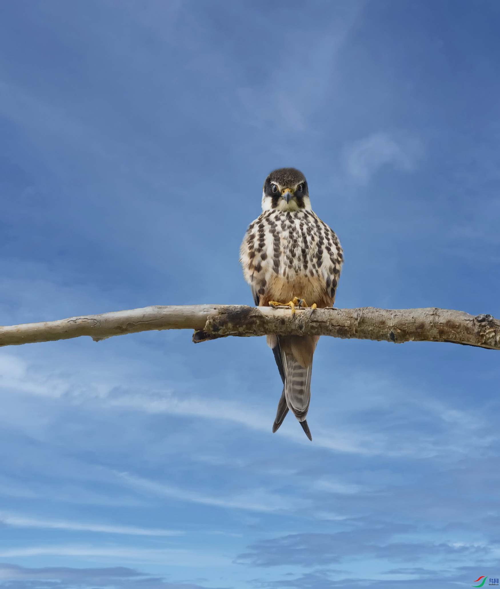 ���� (2).jpg