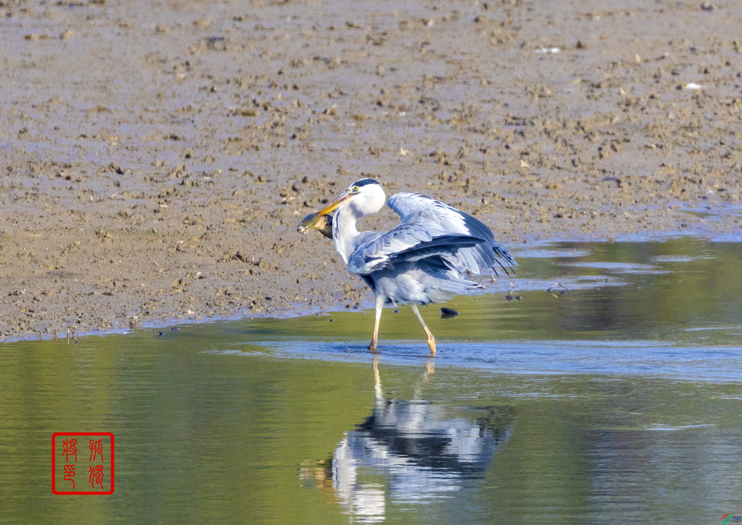 046A1077.jpg