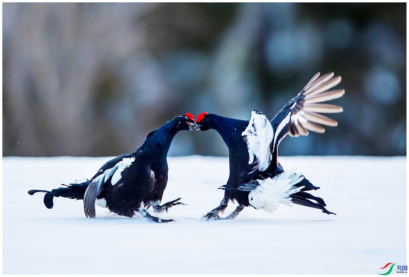 DSC_9735 ��ؐ.jpg