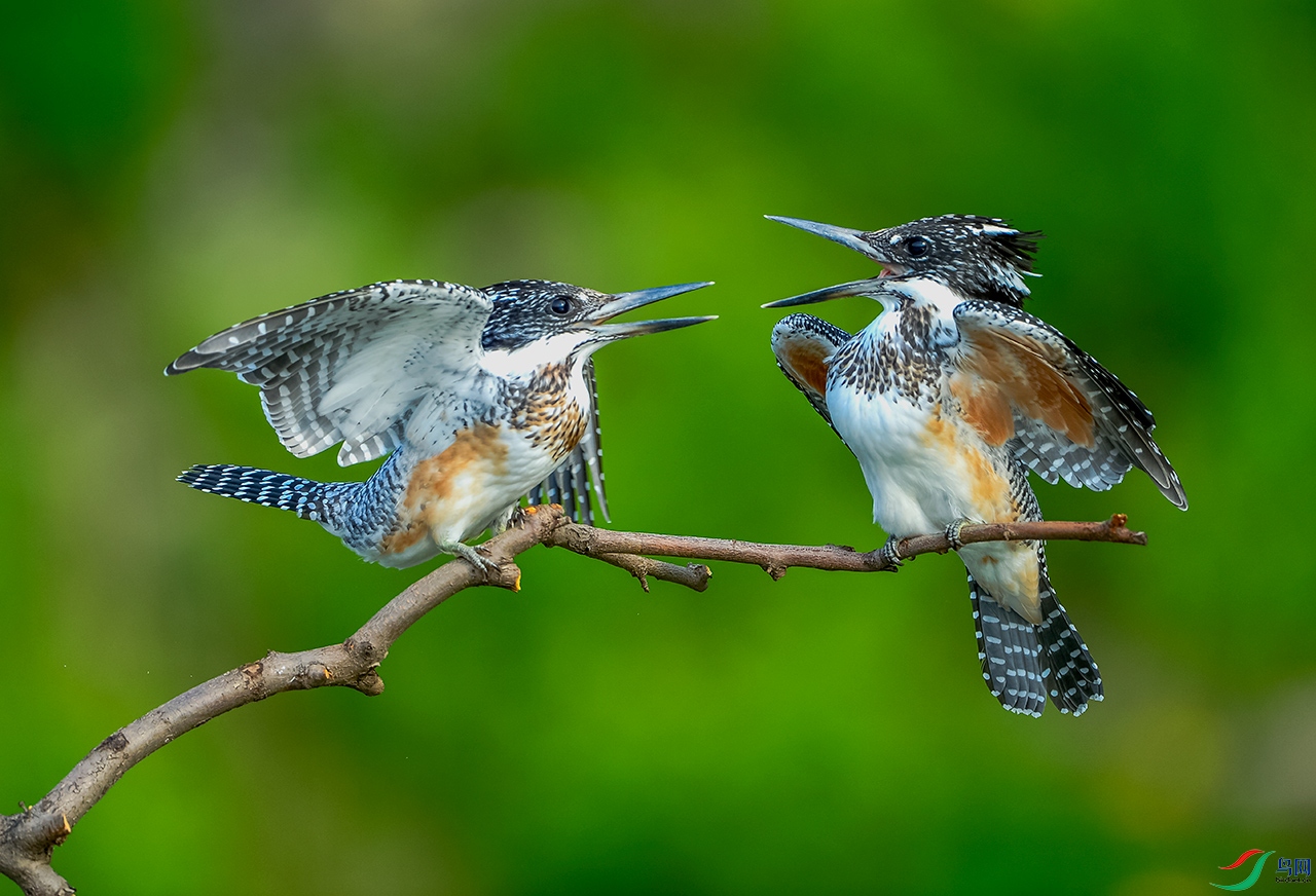 DSC_2281.jpg