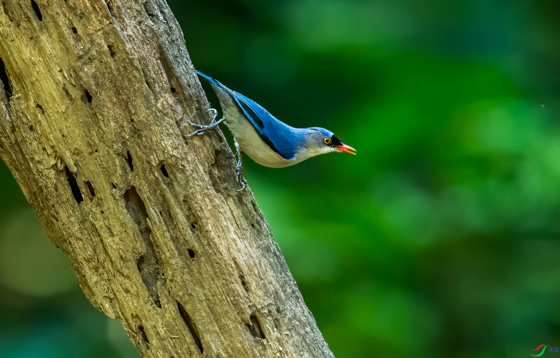 DSC_8037.jpg