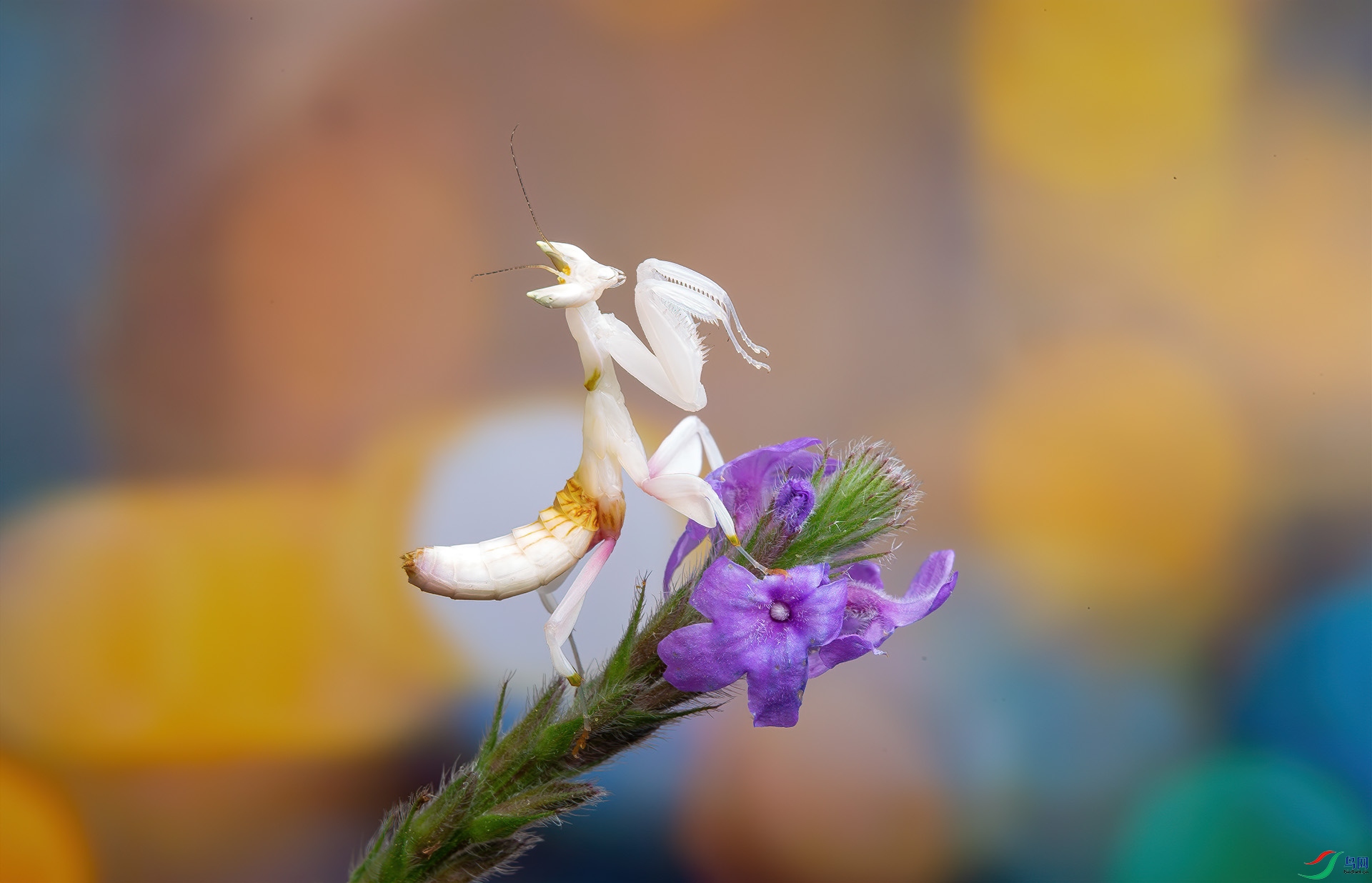 5D3_7238 ����.jpg