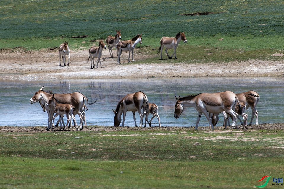 DSC_5570.jpg