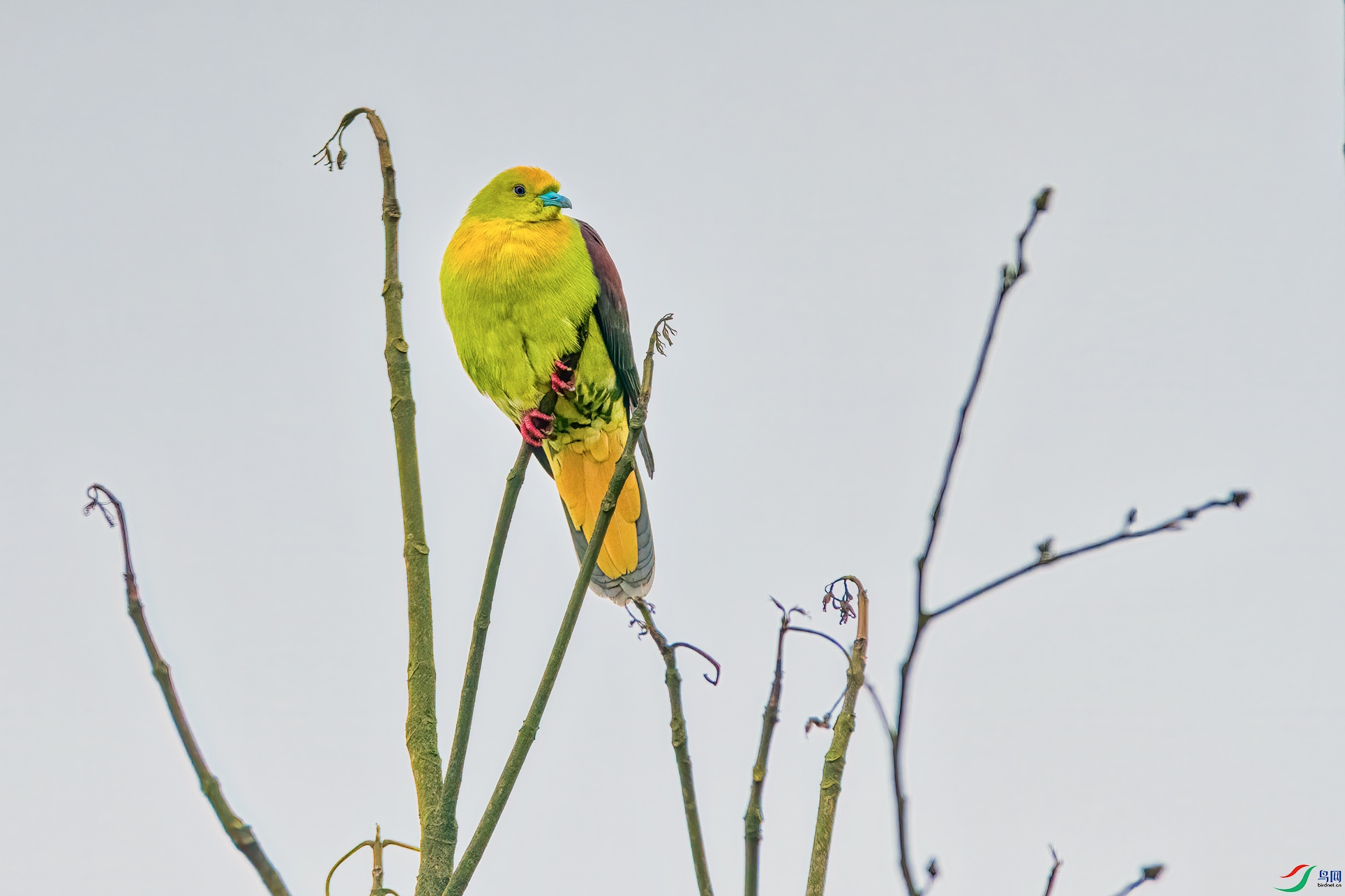 DSC_9098-1.jpg