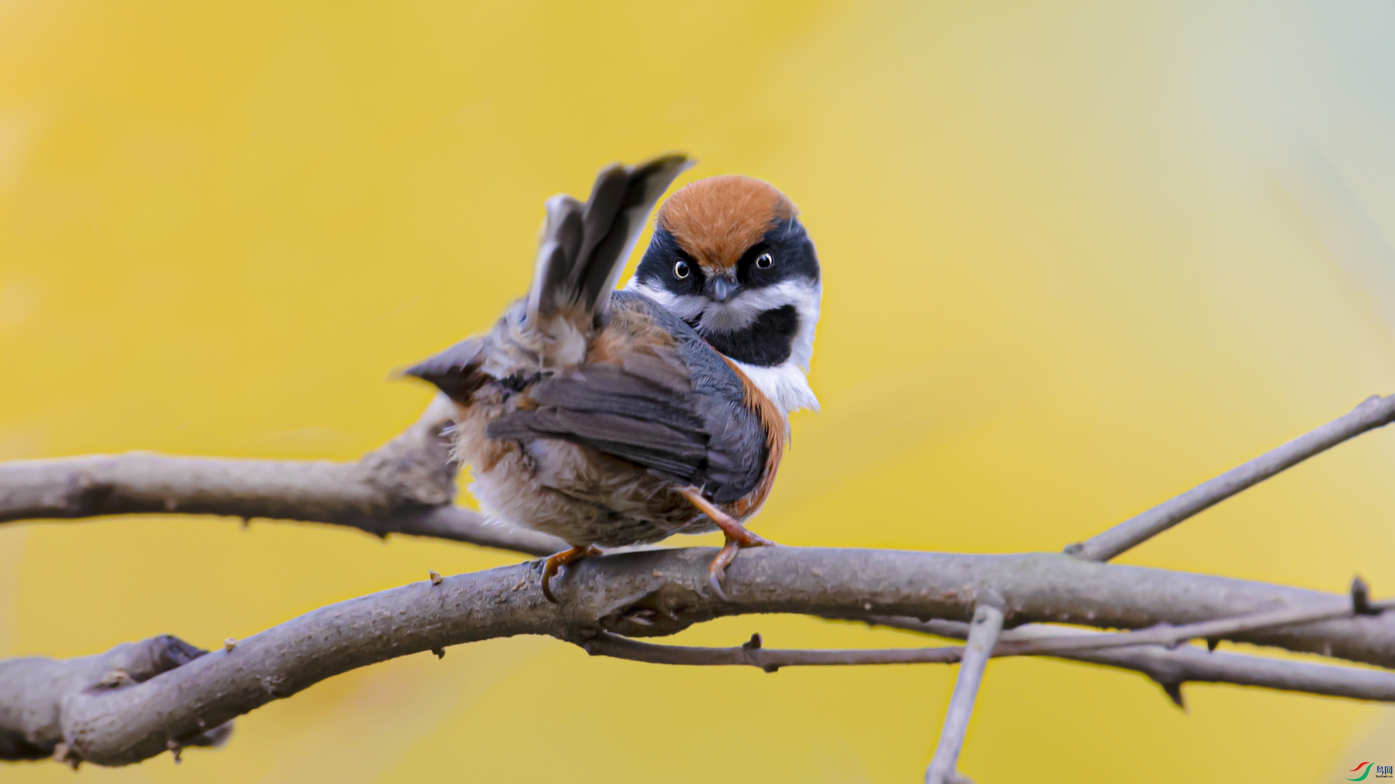 _DSC4713_DxO.jpg