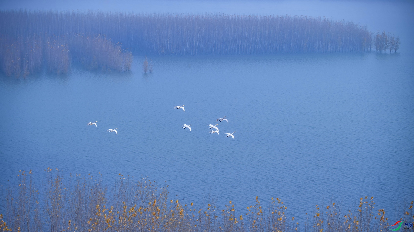 DSC_6670A01.jpg