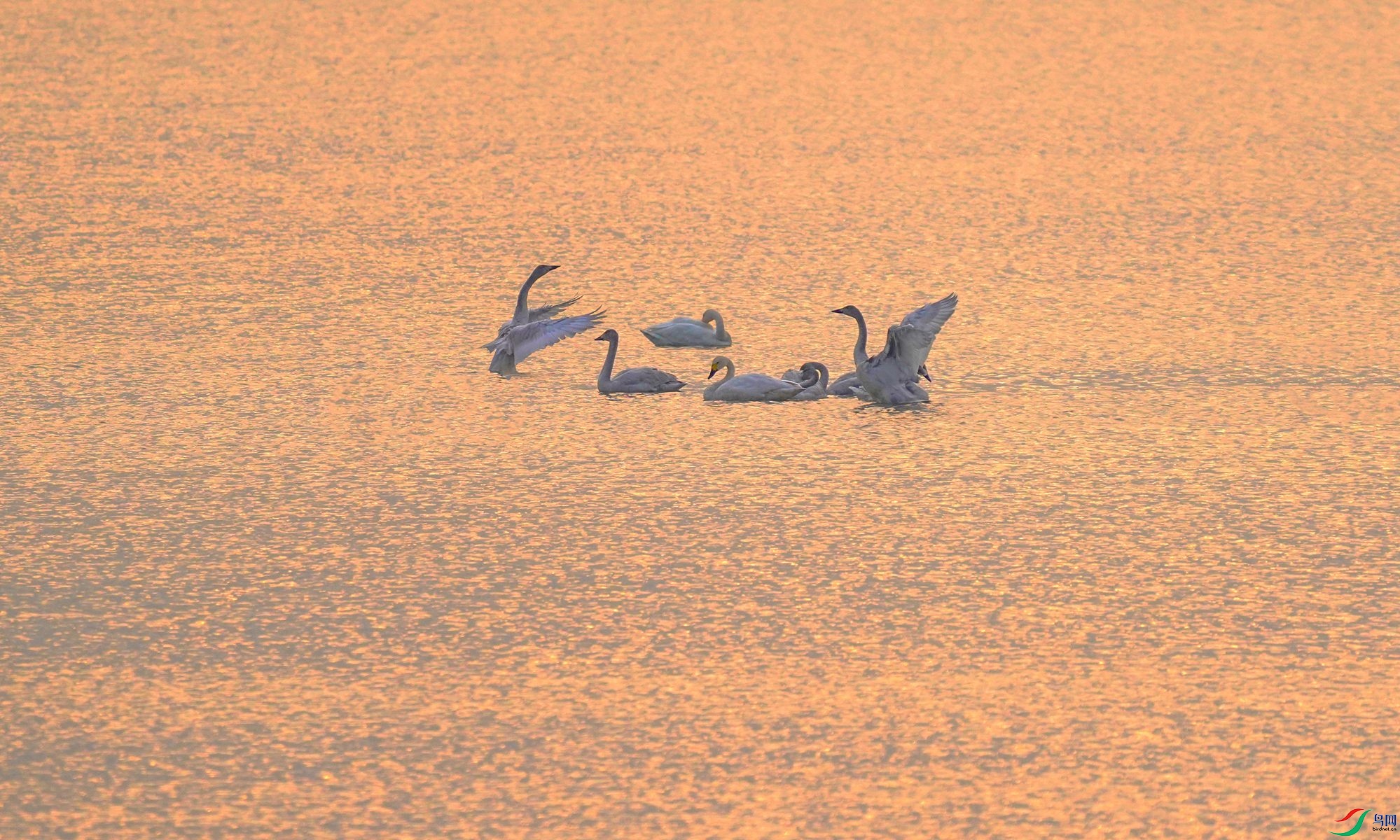 1 DSC07373,_����.jpg