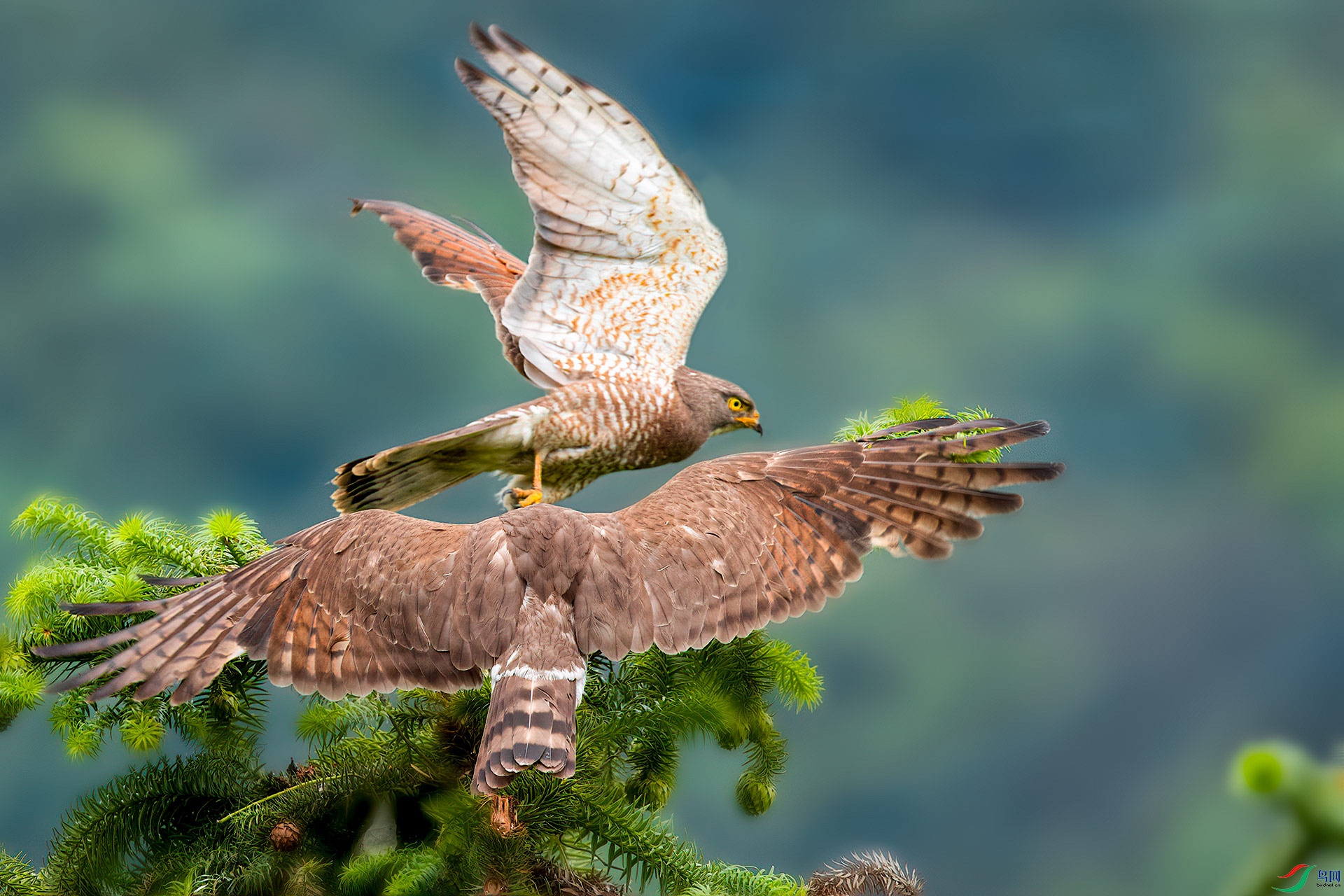 _L7I7561������