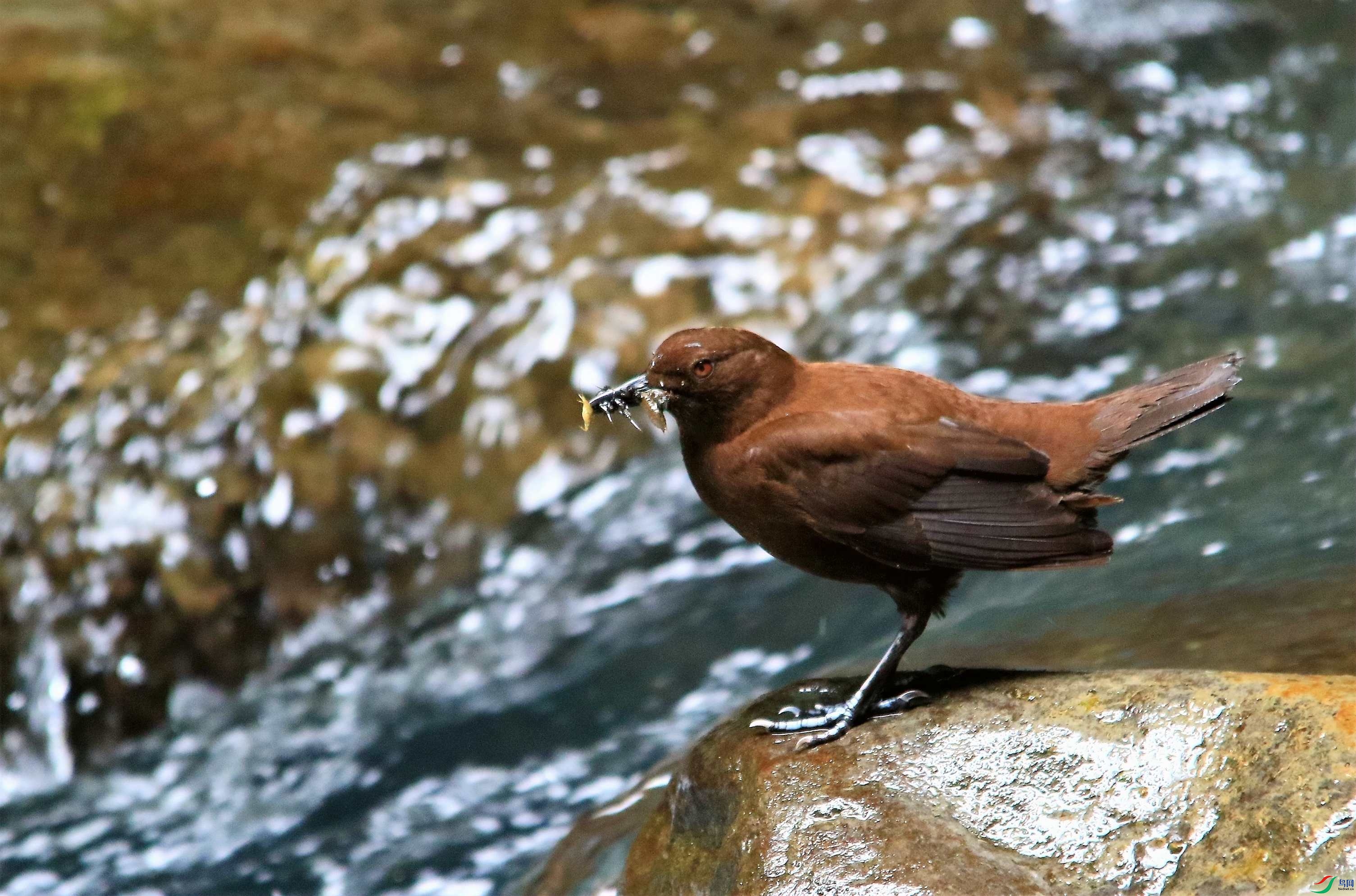 �ֺ��� (20).JPG