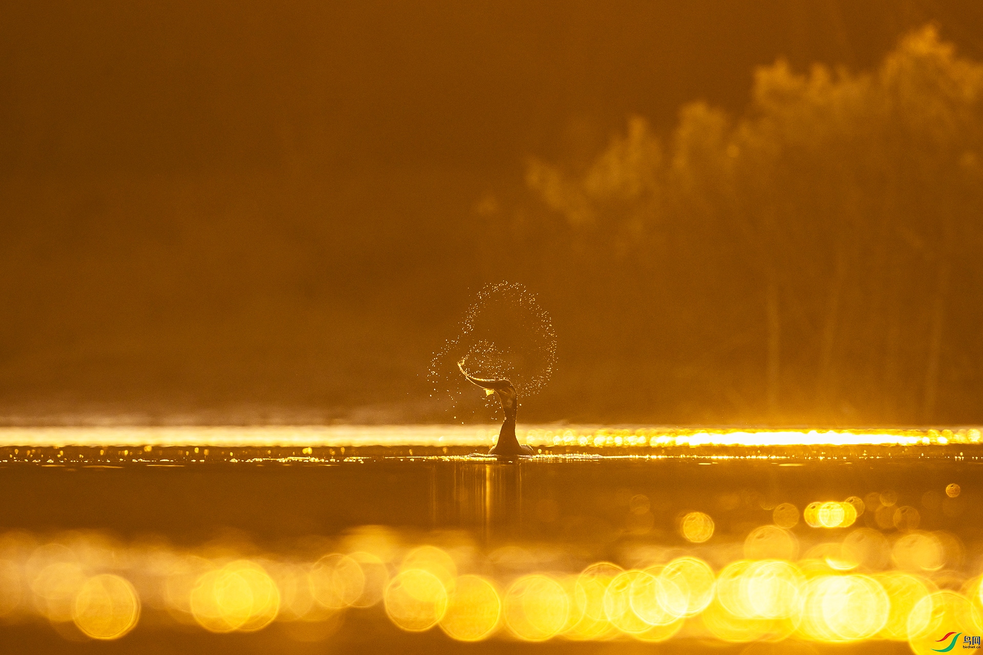 AO4I3744-6 ����.jpg