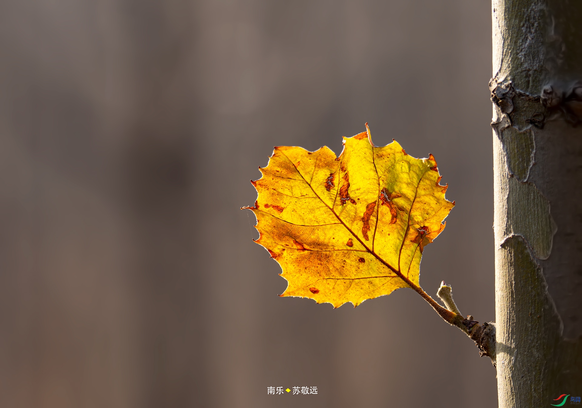 _DSC1340С.jpg